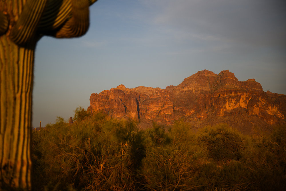 Sunlit desert mountain with a saguaro cactus in the foreground and bushes under a clear sky.