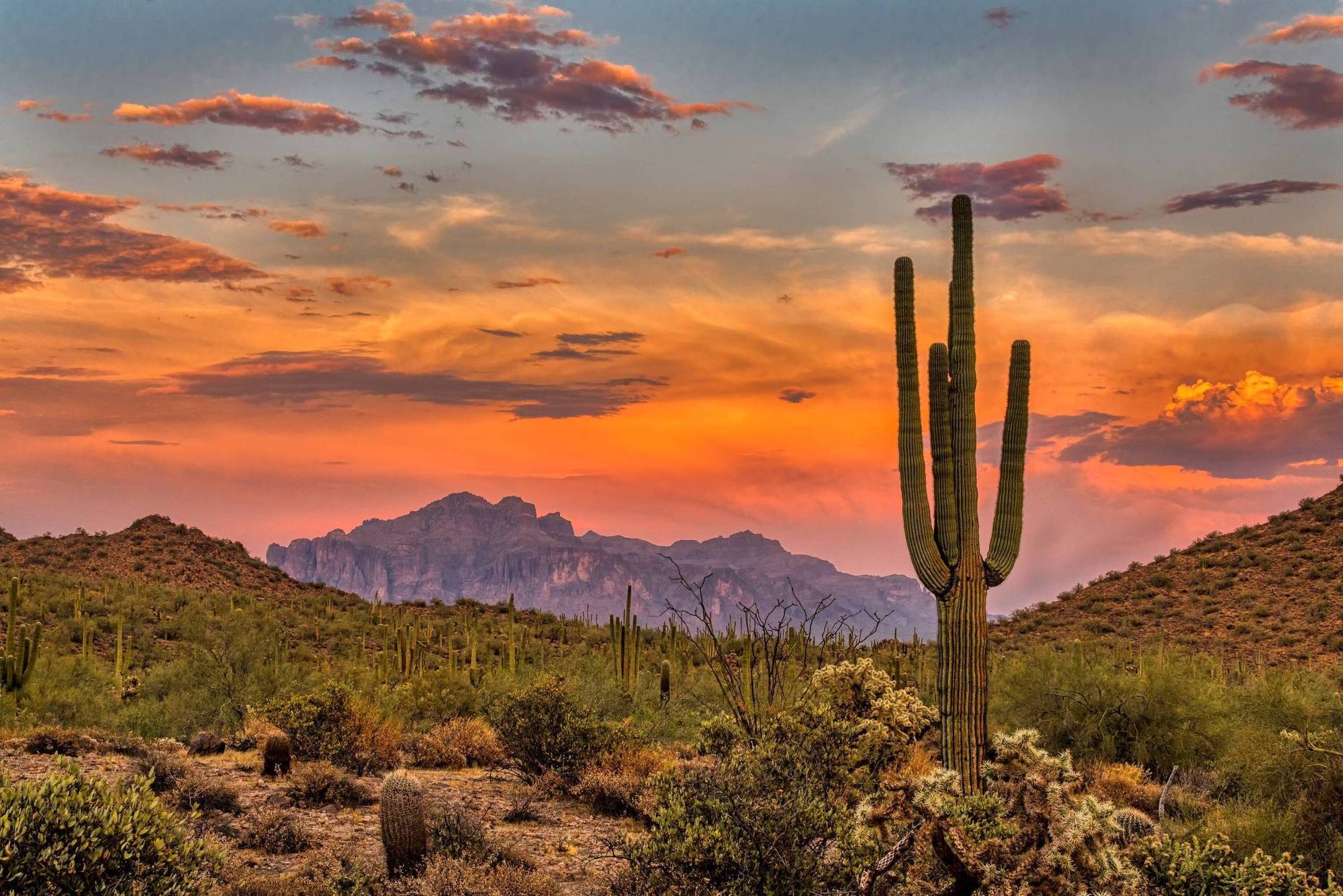 Sunset over a desert landscape with cacti, shrubs, and distant mountains under a colorful sky.