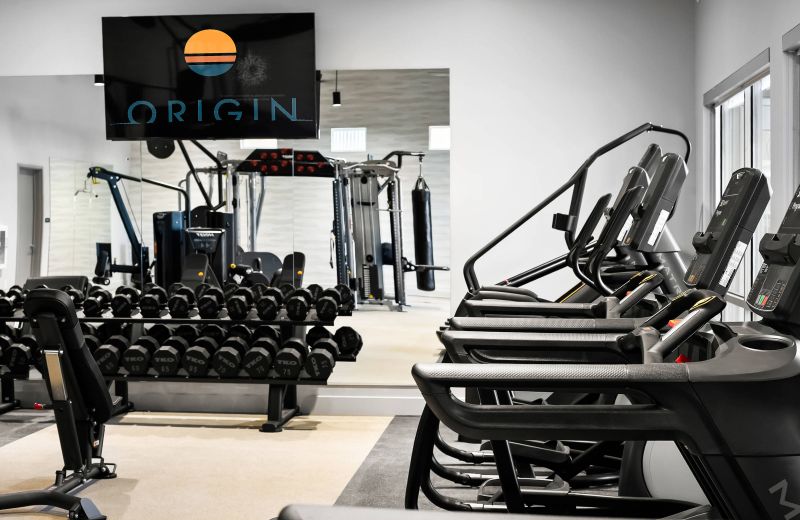Modern gym with treadmills, dumbbells, weight machines, and a TV displaying the Origin logo on the wall.